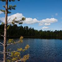 2011-06-01 11-13-01