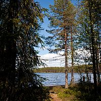 2011-06-01 13-22-50