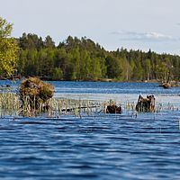 2011-06-01 15-43-00
