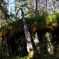 2011-06-01 17-40-58