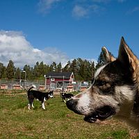 2011-06-04 13-34-42