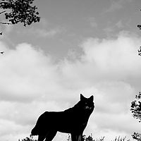 2011-06-04 13-43-21