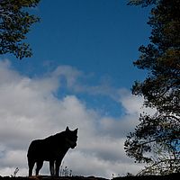 2011-06-04 13-43-59