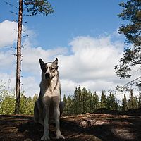 2011-06-04 13-47-06