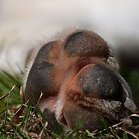 2011-06-04 14-14-23