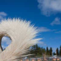 2011-06-04 14-40-56