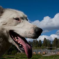 2011-06-04 16-26-35