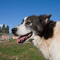 2011-06-04 18-03-30