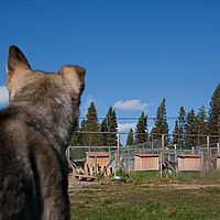 2011-06-04 18-05-55