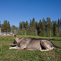 2011-06-04 18-18-27