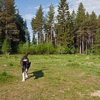 2011-06-08 08-13-03