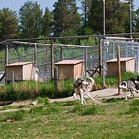 2011-06-08 10-19-38-2