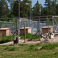 2011-06-08 10-19-38
