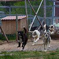 2011-06-08 12-02-51