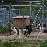 2011-06-08 12-03-15