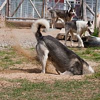 2011-06-08 12-18-49