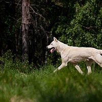 2011-06-08 14-10-49
