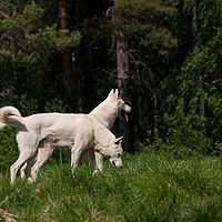 2011-06-08 14-11-32