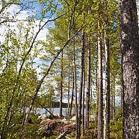 2011-06-02 15-11-23