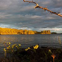 2011-06-02 21-40-30