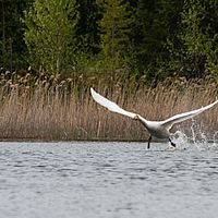 2011-06-03 15-25-28-2
