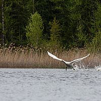 2011-06-03 15-25-28