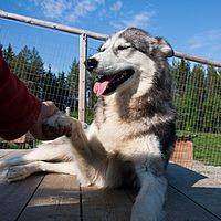 2011-06-08 08-25-49
