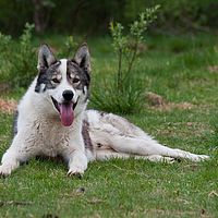 2011-06-08 12-14-38