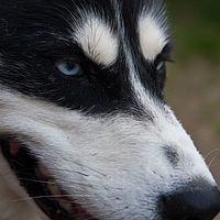 2011-06-08 14-32-45