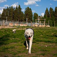 2011-06-08 18-55-01
