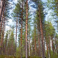 2011-06-03 11-25-23