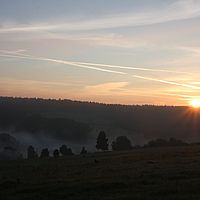 03-09-2010 06-52-29