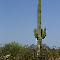 2017-06-11 08-40-02