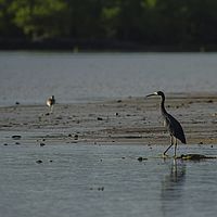 2015-04-17 06-35-03