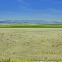 2017-06-26 10-45-47-3
