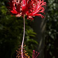 2015-04-17 13-21-21