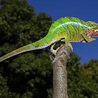 2015-04-19 09-14-36