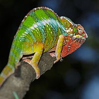 2015-04-19 09-23-58