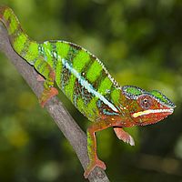 2015-04-19 10-10-47