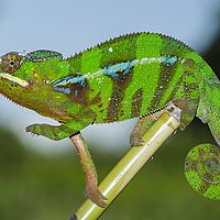 2015-04-19 10-43-19