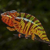 2015-04-19 11-23-21