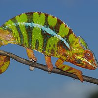 2015-04-19 11-53-42