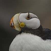 2017-07-20 14-54-19-2