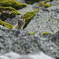 2014-07-12 11-03-33