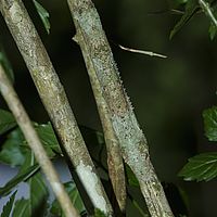 2015-04-22 09-06-35