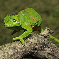 2015-04-22 13-10-15