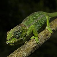 2015-04-22 13-25-21