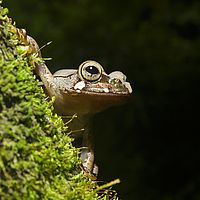 2015-04-23 11-34-34