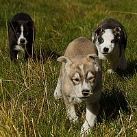 2012-09-06 11-15-36