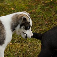 2012-09-06 11-26-05